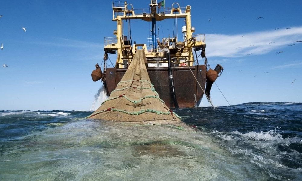 Προς κρίση: Εισβολή τουρκικών αλιευτικών στο Θρακικό Πέλαγος